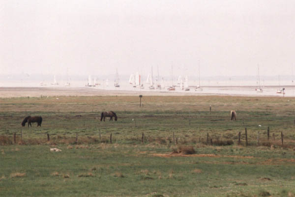 Ende der Regatta